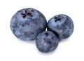 Fresh blueberry isolated on white background with clipping path. Three bilberries Royalty Free Stock Photo