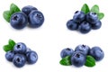 Fresh blueberry with leaves isolated on white background closeup. Set or collection Royalty Free Stock Photo