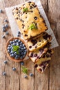 fresh blueberry loaf of bread muffin cake with mint closeup. vertical top view Royalty Free Stock Photo