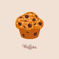 Fresh Blueberry Muffin vector illustration