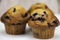 Fresh Blueberry Muffins