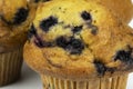 Fresh Blueberry Muffins