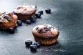 Fresh, blueberry muffins on a stone background with sugar and fruits. Food background. Concept of pastry. Royalty Free Stock Photo