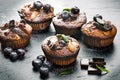 Fresh, blueberry muffins on a stone background with sugar and fruits. Food background. Concept of pastry. Royalty Free Stock Photo