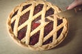 Fresh blueberry pie