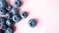 Fresh blueberry on pink plate background with copy space. Bright minimalist food. Tasty colourful fresh berries