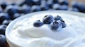 A fresh blueberry plunging into a sea of yogurt Royalty Free Stock Photo