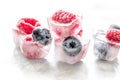 Fresh blueberry and raspberry in ice on table background Royalty Free Stock Photo
