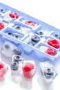 Blueberry and raspberry in ice tray on stone background Royalty Free Stock Photo