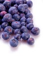 Fresh blueberry summer fruit Royalty Free Stock Photo