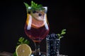 Fresh blueberry summer mojito cocktail. Blueberry lemonade or sangria on dark Royalty Free Stock Photo