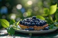 Fresh blueberry tart on a rustic outdoor table