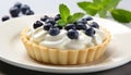 Fresh blueberry tartlet with plump blueberries on white plate, perfect summer dessert.