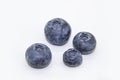 Fresh blueberry on white background. A composition of the four blueberries which is organic and healthy. The berry full of