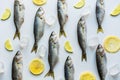 Fresh bluefish with lemon on white. Fish pattern. View from above Royalty Free Stock Photo