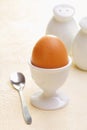 Fresh boiled breakfast egg Royalty Free Stock Photo