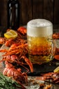 Fresh boiled crawfish and a mug of beer on a wooden table. Royalty Free Stock Photo