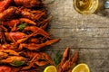 Fresh boiled crawfish with a mug of beer on a wooden table.