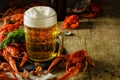 Fresh boiled crawfish and a mug of beer on a wooden table. Royalty Free Stock Photo