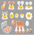 Fresh boiled and fried eggs. Cartoon broken eggs with cracked eggshell, in cardboard box and egg half with yolk. Chicken