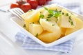 Fresh boiled potatoes Royalty Free Stock Photo