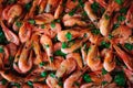 Fresh boiled prawns with coriander. A delicious dish of seafood Royalty Free Stock Photo