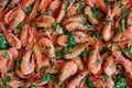 Fresh boiled prawns with coriander. A delicious dish of seafood. Royalty Free Stock Photo