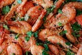 Fresh boiled prawns with coriander. A delicious dish of seafood
