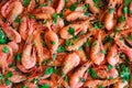 Fresh boiled prawns with coriander. A delicious dish of seafood