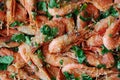 Fresh boiled prawns with coriander. A delicious dish of seafood Royalty Free Stock Photo