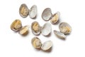 Fresh boiled seashells