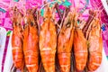 Fresh boiled tiger shrimp Royalty Free Stock Photo