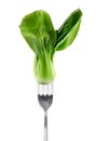 Fresh Bok choy on fork