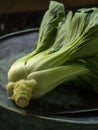 Fresh Bok Choy from the garden