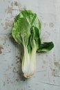 fresh bok choy on a gray surface