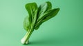 Fresh Bok Choy on Green Background AI Generated