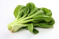 Fresh bok choy with green leaves on white backdrop for striking ads and packaging visuals