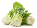 Fresh bok choy isolated on white Royalty Free Stock Photo