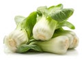 Fresh bok choy isolated on white