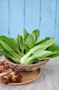 Fresh Bok Choy and Mushroom on Wooden Plate Royalty Free Stock Photo