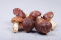Fresh bolete mushrooms background