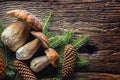Fresh boletus edulis mushrooms with spruce bunch and cones on rustic woden table Royalty Free Stock Photo