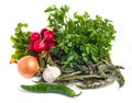 Fresh Borlotti Beans, garlic, onion, parsley and athe vegetable