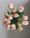 Fresh bouque of pink roses in natural light background