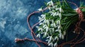 fresh bouquet of the first spring snowdrops flowers with red and white rope, banner, copy space