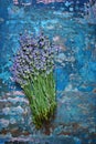 Fresh bouquet of fragrant lavender on a turquoise blue background. Lavender flowers Royalty Free Stock Photo