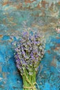 Fresh bouquet of fragrant lavender on a turquoise blue background. Lavender flowers Royalty Free Stock Photo