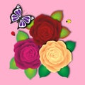 Fresh bouquet of motley roses with butterfly and two ladybird Royalty Free Stock Photo