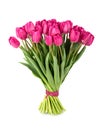 Fresh bouquet of pink tulips Royalty Free Stock Photo