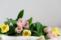 Fresh Bouquet of pink and yellow tulips on light background. Holiday concept. Spring gift